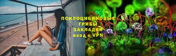 не бодяженный Алексин