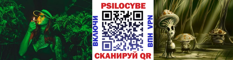Псилоцибиновые грибы Psilocybe  hydra сайт  Ленинск-Кузнецкий 